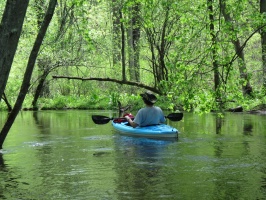 Great Swamp South 5-17-14